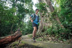 BIB: 
                            <button type="button" onclick="openModal(24809500)" class="btn btn-primary btn-sm float-right btn-popup" data-toggle="modal" data-target=".modal-high-quality">
                        <i class="fas fa-shopping-cart"></i> Add to Cart
                    </button>
                                            <button type="button" onclick="isThisMe(24809500, true)" class="btn btn-success btn-sm float-right btn-popup btn-isme hidden" data-toggle="tooltip" data-placement="bottom" title="นี่คือรูปของคุณใช่ไหม คลิกที่นี่เพื่อเอาเข้าอัลบั้ม">
                        <i class="fas fa-plus"></i> Add to album
                    </button>
                    <button type="button" onclick="isThisMe(24809500, false)" class="btn btn-warning btn-sm float-right btn-popup btn-isnotme hidden">
                        <i class="fas fa-ban"></i> Remove from album
                    </button>